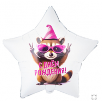 К 18" РУС ДР Енот в колпаке
